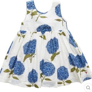 Pink Chicken Hydrangea Dress *worn one time